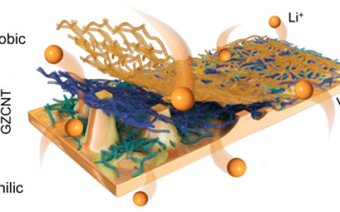 武汉理工麦立强&军科院张浩Nature子刊:梯度亲/憎锂保护膜确保金属锂电池“超级安全”