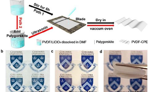 Nano Lett:用于高能量密度锂电池的PVDF/凹凸棒土纳米线复合固态电解质