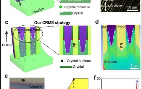 苏大张晓宏揭建胜&天大胡文平Materials Today：通道限制的弯液面自组装法实现晶圆级有机半导体单晶材料均匀地阵列化生长