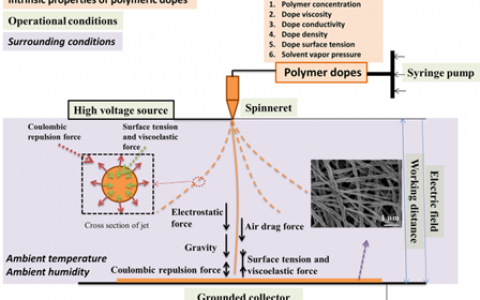 南洋理工大学新加坡膜技术中心王蓉教授组Progress in polymer science 综述：静电纺丝纳米纤维在膜法水处理方面的应用