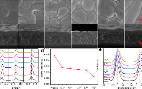 暨南大学唐群委团队Adv Energy Mater：全无机CsPbBr3钙钛矿太阳电池效率突破10%