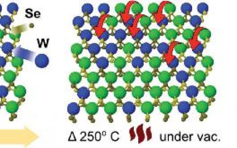 Adv. Mater. : 热诱导二维四元过渡金属硫化物“合金-异质结构”转化