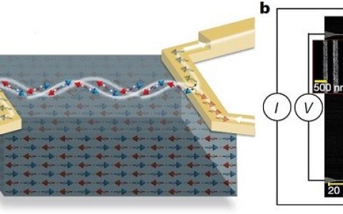 自旋电子学Natrue:反铁磁氧化铁中的可调长程自旋输运