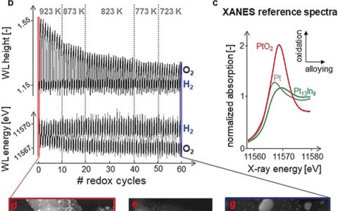 Angew. Chem.:快速X射线吸收光谱法揭示双金属纳米催化剂寿命变化动力学