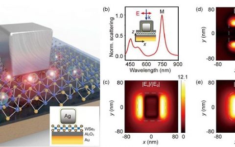 徐红星院士&张顺平ACS Nano：发光Plexciton:利用中等耦合强度区域的等离激元-激子相互作用