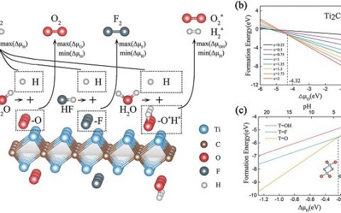 北航张瑞丰Adv. Funct. Mater.：高度柔性二维过渡族金属碳化物表面电化学稳定性与应变调控锂存储性能的研究