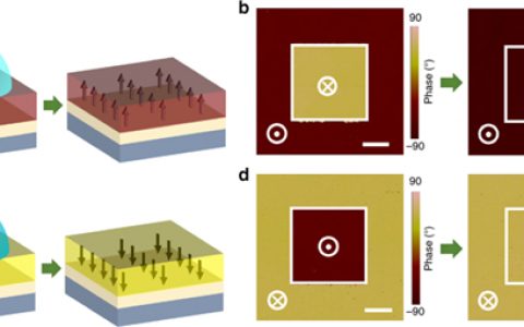 张金星北京师范大学Nature Commun.：铁电极化的水印刷