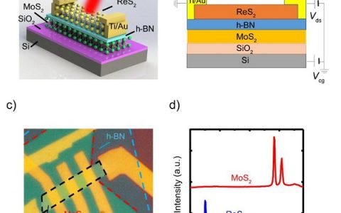 ACS Nano：南大缪峰教授课题组在二维材料异质结光电器件领域取得重要研究进展