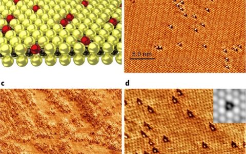匈牙利科学院Nature子刊：环境条件下MoS2单层基面通过氧替换反应实现自发掺杂