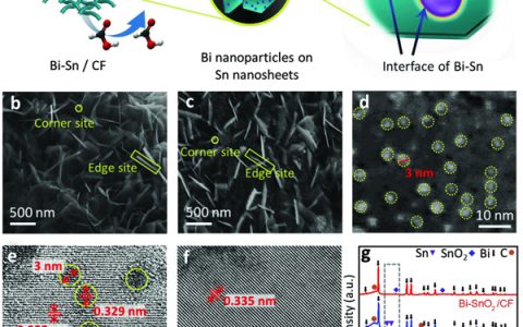 加拿大滑铁卢大学陈忠伟团队Adv. Energy Mater. ：轨道相互作用的Bi-Sn双金属电催化剂用于高选择性电化学CO2还原生产甲酸盐