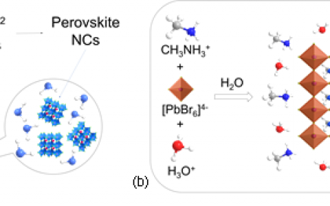 Angewandte Chemie：河北工业大学徐庶课题组报道水相合成有机-无机杂化钙钛矿纳米材料