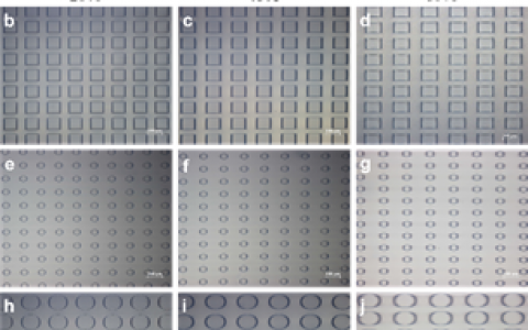 中科院深圳先进院J. Mater. Chem. A：形状记忆微阵列可控调节表面浸润特性及用于微结构可控复制