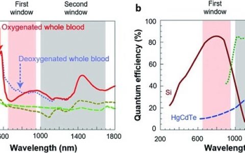 刘斌 Adv. Mater. 综述: “近红外-II”光学成像的最新进展