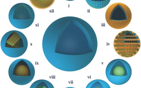 新加坡国立大学曾华淳Adv. Mater.综述：中空催化装置的结构与制备