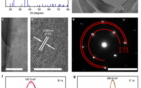 电子科大催化重磅Nat. Common.：大气环境下电化学人工固氮
