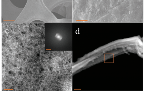 Adv. Mater. 一种提高水裂解电催化剂性能的通用设计策略！