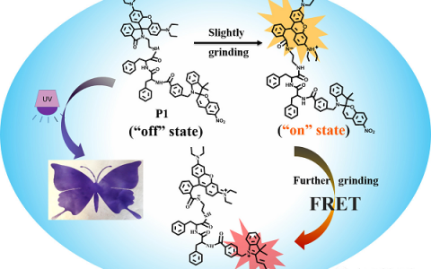 北化工尹梅贞教授等:利用机械力调控分子内能量转移实现高对比度荧光变色