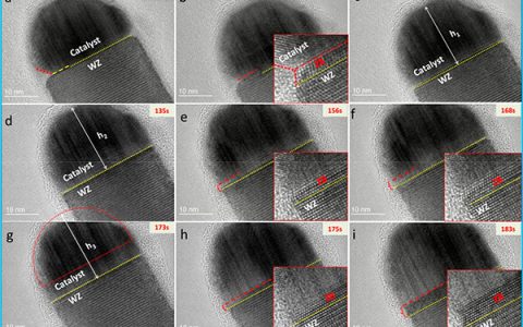 华中科大&昆士兰大学Nano Lett.：InAs纳米线晶体结构转变的原子尺度、原位TEM观察