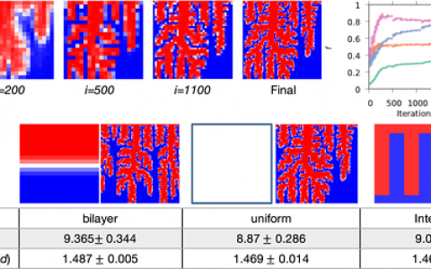 Nature合作期刊npj Compu. Mater.: 图形设计助力材料的形貌研究