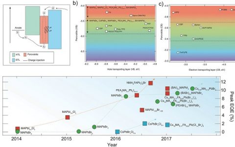 Adv. Mater. 综述:四大方面介绍钙钛矿发光领域的研究进展