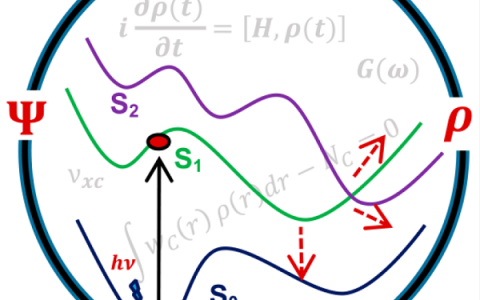量化大牛Truhlar综述: WFT与DFT，双剑合璧助力激发态研究
