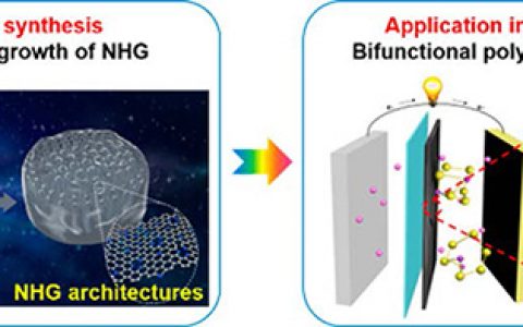 苏州大学&北京大学ACS Nano: Direct-CVD技术制备的用于捕获多硫化物的“猪笼草”结构氮掺杂石墨烯