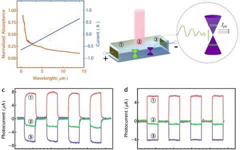 山东大学张怀金Adv. Mater.：宽波段光敏外尔半金属单晶—TaAs