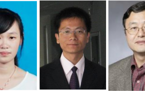 液相剥离超薄Bi纳米片：揭示二维材料增强电催化CO2还原性能的关键原因