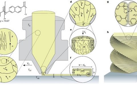 复合材料大牛A. R. Studart最新Natrue:分级液晶聚合物结构的3D打印