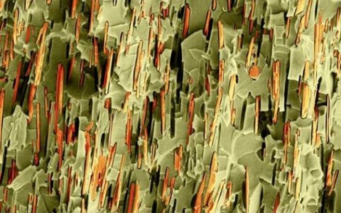 道法自然——这些年我们向大自然学习得到了哪些新材料