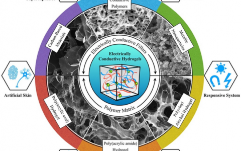 东南大学章炜 ǀ Progress in Polymer Science：基于导电水凝胶的柔性储能系统