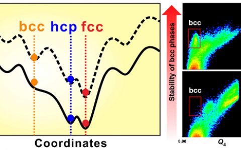 管鹏飞&柳百新Acta Materialia：过冷金属液体晶化过程中多晶型选择及其调控的一般规律