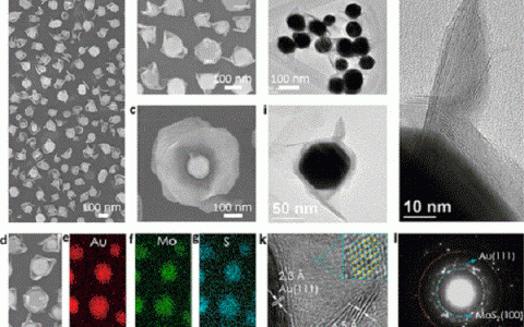 美国西北大学:形态工程 - 翼状Au@MoS2异质结构用于电催化析氢