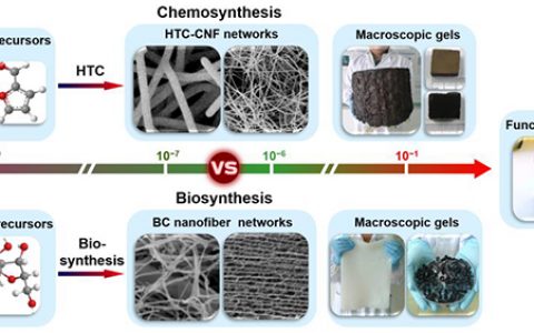 中科大俞书宏Angew. Chem. Int. Ed.综述：新兴碳纳米纤维气凝胶：化学合成与生物合成
