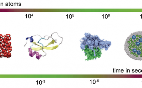 小知识:分子动力学基本原理及应用