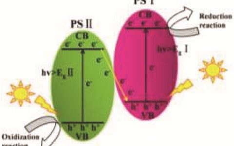东北师范大学颜力楷J. Mater. Chem. A： Z-scheme B-掺杂g-C3N4/SnS2光催化剂的高效CO2还原反应的实验及计算分析