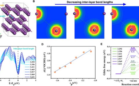 复旦大学彭慧胜团队Angew. Chem.：主族金属的p轨道离域促进CO2电还原