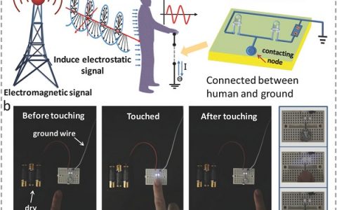 中科院北京纳米能源与系统研究所AFM:利用人体对周围电磁波的增强感应,直接可视觉触觉感知和超灵敏触觉传感器