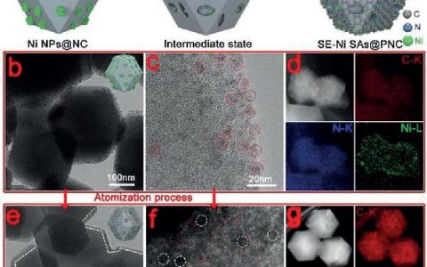 中科大吴宇恩&李震宇Angew. Chem. Int. Ed. : 镍纳米颗粒通过原位加热而原子化形成表面富集的镍单原子催化剂