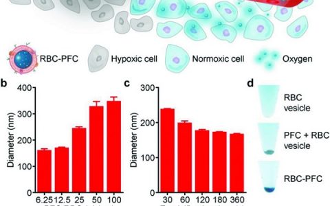 加州大学圣地亚哥分校 张良方 Adv. Mater.: 用于体内氧气递送的仿生纳米乳液