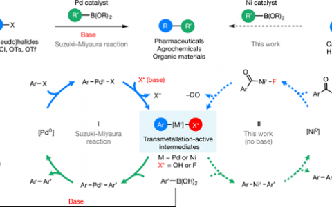 美国密歇根大学今日Nature:酸性氟化物的无碱镍催化脱羰Suzuki - Miyaura偶联反应