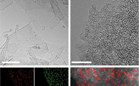 清华大学Nature子刊：茧丝化学策略制备超薄N掺杂碳纳米片负载金属单位点催化剂