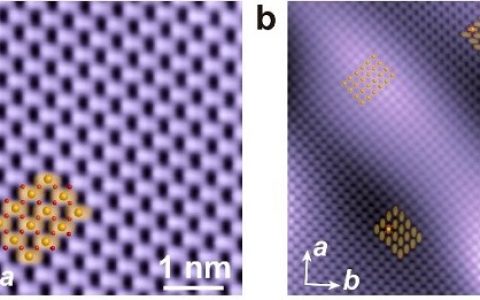 清华薛其坤、李渭＆华科徐刚Nano letters：FeSe薄膜中向列畴界的边缘态