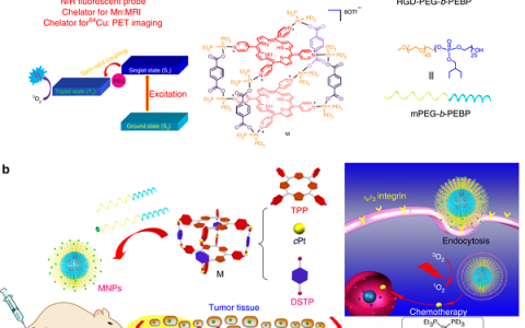 陈小元、黄飞鹤、毛峥伟& Peter J. Stang Nat. Commun.: 一种离散的有机铂（II）金属催化剂作为癌症光化学疗法的多模式治疗平台