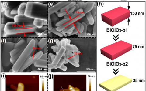 Adv. Funct. Mater.:厚度调控的晶面结同时优化层间电荷迁移与表面载流子空间分离促进BiOIO3 单晶纳米片CO2光还原性能