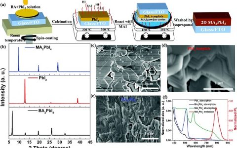 陕西师范大学刘生忠团队EES：气相熏蒸法制备高效且稳定的二维钙钛矿太阳能电池