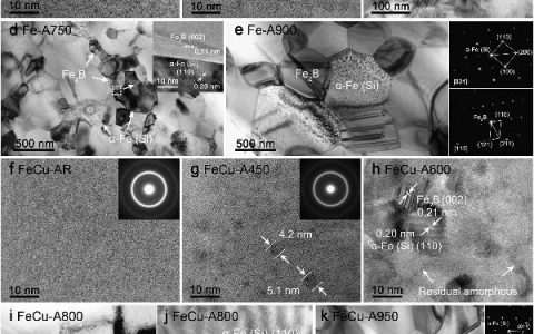 张来昌&王伟民Adv. Mater. : 金属玻璃中的再生催化性能