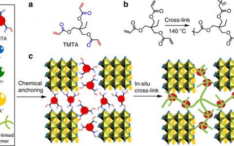 宁波材料所方俊锋Nature子刊：原位交联策略实现高效且运行稳定的甲基铵碘化铅太阳能电池