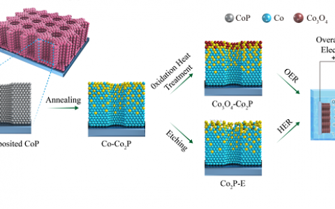 北科大王明涌、焦树强&过程所王志AEM:自支撑多孔CoP-基相分离薄膜的设计新策略
