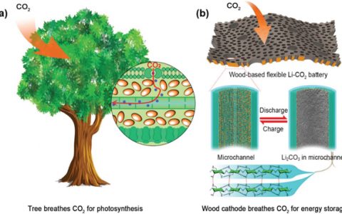 马里兰大学胡良兵团队EES：超高容量和稳定循环的柔性Li-CO2电池